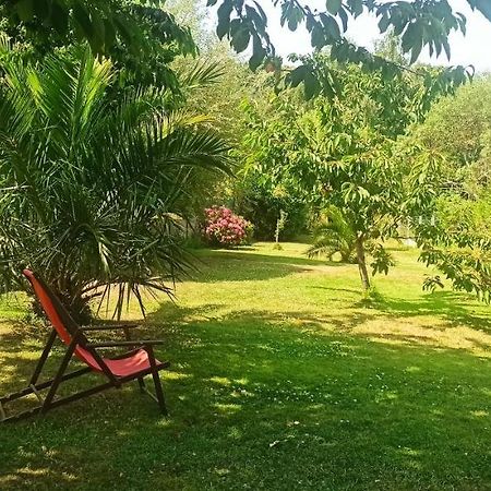 Appartement En Bord De Mer 40 M2, 2 Personnes Etables-sur-Mer Bagian luar foto